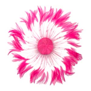 Full Pinwheels - HOT PINK